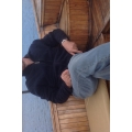 Владимир Калмыков